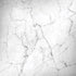 White Marble Legion Y720 Skin