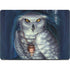 White Owl by Ed Beard Jr MacBook Pro 14in (2021-24) Skin