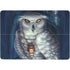 Ed Beard Jr. White Owl Surface Laptop Studio Skin