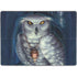 Ed Beard Jr. White Owl Surface Pro 8 Skin