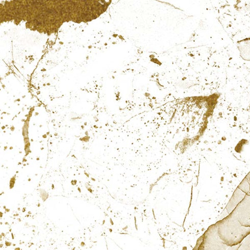 White Scattered Marble Moto E5 Play Skin