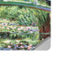 Claude Monet White Waterlilies, 1899 Surface Laptop Studio Skin
