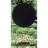 Claude Monet White Waterlilies, 1899 Xbox Series S Console Skin
