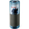 The Dark Knight Why So Serious Amazon Echo Skin
