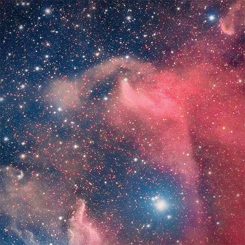 Widefield View of Orion Nebula and Horsehead Nebula Galaxy Note 8 Skin