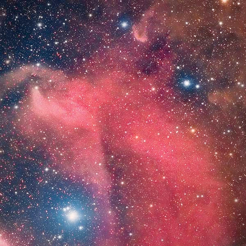 Widefield View of Orion Nebula and Horsehead Nebula iPhone X Pro Case