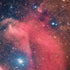 Widefield View of Orion Nebula and Horsehead Nebula iPhone X Pro Case