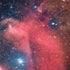 Widefield View of Orion Nebula and Horsehead Nebula iPhone X Skin