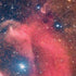 Widefield View of Orion Nebula and Horsehead Nebula iPhone XS Pro Case