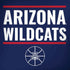 University of Arizona Wildcats Basketball Mark Dell Alienware Skin