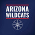 University of Arizona Wildcats Basketball Mark Amazon Echo Skin