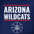 University of Arizona Wildcats Basketball Mark iPhone X Skin