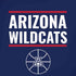 University of Arizona Wildcats Basketball Mark iPhone XR Pro Case