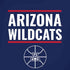 University of Arizona Wildcats Basketball Mark iPhone XR Skin