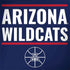 University of Arizona Wildcats Basketball Mark Legion Y720 Skin