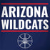 University of Arizona Wildcats Basketball Mark HP Spectre Skin