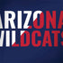 University of Arizona Wildcats Logo Split Blue HP Spectre Skin