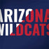 University of Arizona Wildcats Logo Split Blue Surface Book 2 15in Skin