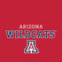 University of Arizona Wildcats Red Otterbox Commuter Galaxy Skin