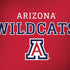 University of Arizona Wildcats Red HP Spectre Skin