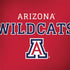 University of Arizona Wildcats Red Surface Book 2 13.5in Skin