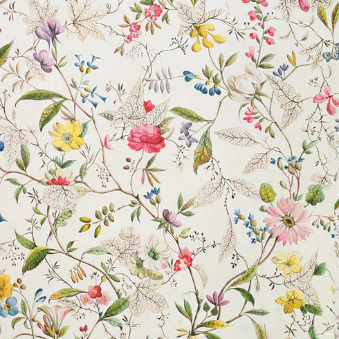 William Kilburn Wildflowers PS4 Pro Bundle Skin