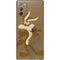 Looney Tunes Wile E Coyote Double Galaxy Note20 5G Skin