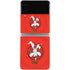 Looney Tunes Wile E Coyote Stars Galaxy Z Flip3 5G Skin