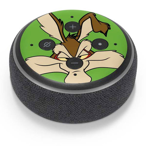Looney Tunes Wile E Coyote Zoomed In Amazon Echo Dot Skin