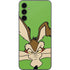 Looney Tunes Wile E Coyote Zoomed In Galaxy A14 5G Skin