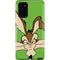 Looney Tunes Wile E Coyote Zoomed In Galaxy Note20 5G Pro Case