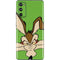 Looney Tunes Wile E Coyote Zoomed In Galaxy S20 Fan Edition Skin