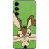 Looney Tunes Wile E Coyote Zoomed In Galaxy S23 FE Skin