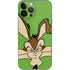 Looney Tunes Wile E Coyote Zoomed In iPhone 13 Pro Max Skin