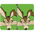 Looney Tunes Wile E Coyote Zoomed In Surface Duo Skin