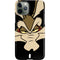 Looney Tunes Wile E. Coyote Smile iPhone 11 Pro Lite Case