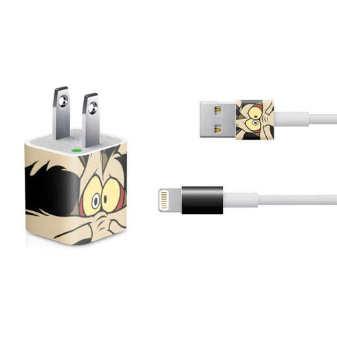 Looney Tunes Wile E. Coyote iPhone Charger (5W USB) Skin