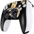 Looney Tunes Wile E. Coyote PS5 Controller Skin