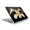 Looney Tunes Wile E. Coyote HP Spectre Skin