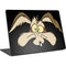 Looney Tunes Wile E. Coyote Surface Laptop 4 15in Skin