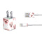 Bouffants and Broken Hearts Winking Hearts iPhone Charger (5W USB) Skin