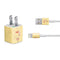 Disney Winnie the Pooh and Piglet iPhone Charger (5W USB) Skin