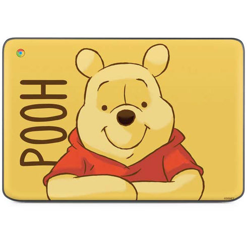 Disney Winnie the Pooh Portrait HP Chromebook Skin