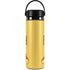 Disney Winnie the Pooh Portrait Hydro Flask 20oz Wide Mouth Skin