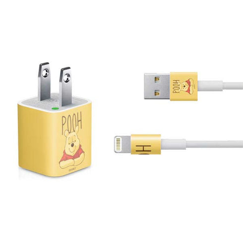 Disney Winnie the Pooh Portrait iPhone Charger (5W USB) Skin