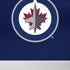 NHL Winnipeg Jets Alternate Jersey iPhone XS Skin