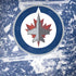 NHL Winnipeg Jets Frozen Galaxy Note 8 Skin