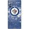 NHL Winnipeg Jets Frozen Galaxy Note20 5G Skin