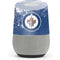 NHL Winnipeg Jets Frozen Google Home Skin