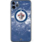 NHL Winnipeg Jets Frozen iPhone 11 Pro Max Skin